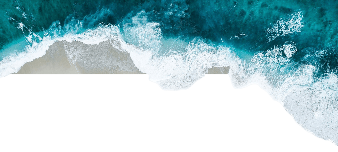 MEDIA PARTNER Hero Background