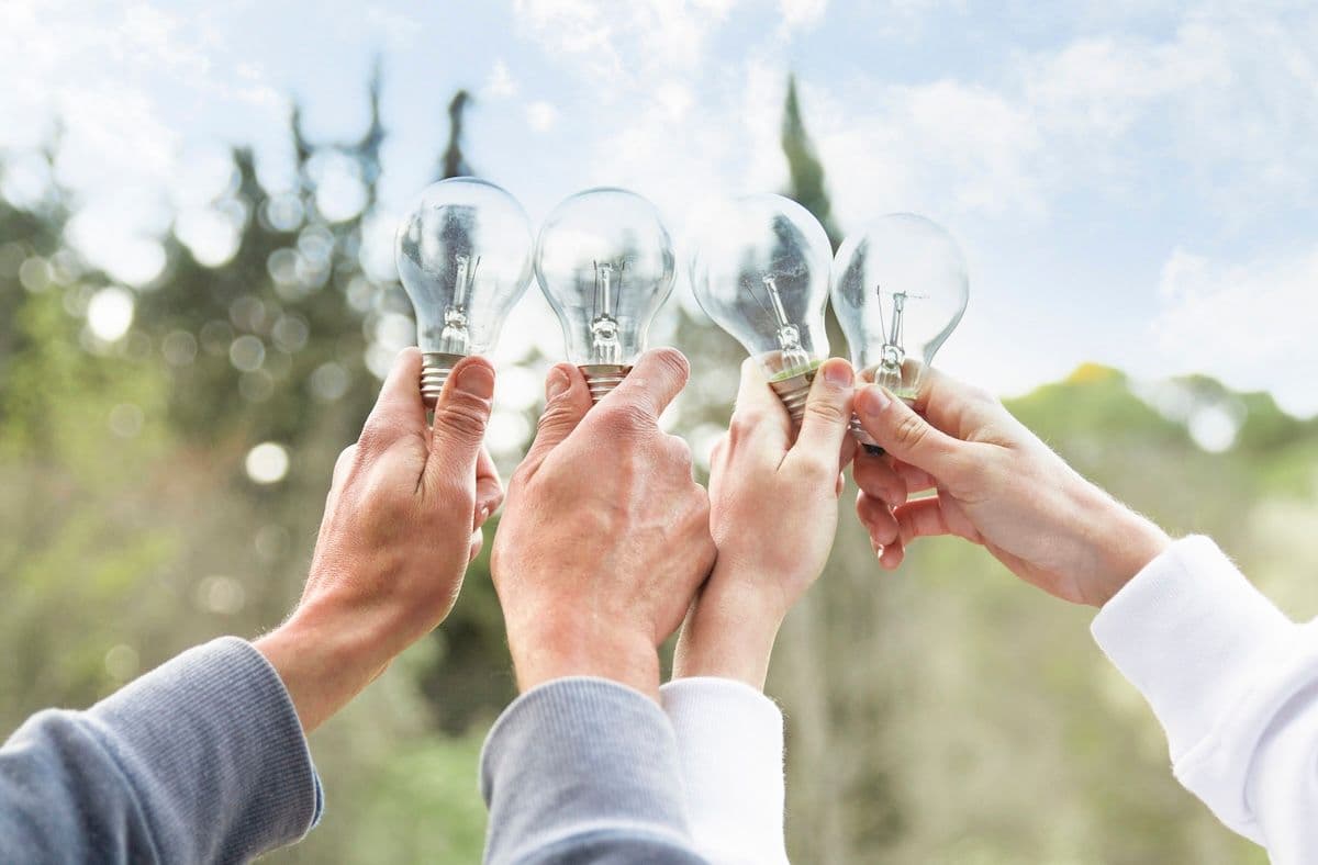 mani che tengono lampadine