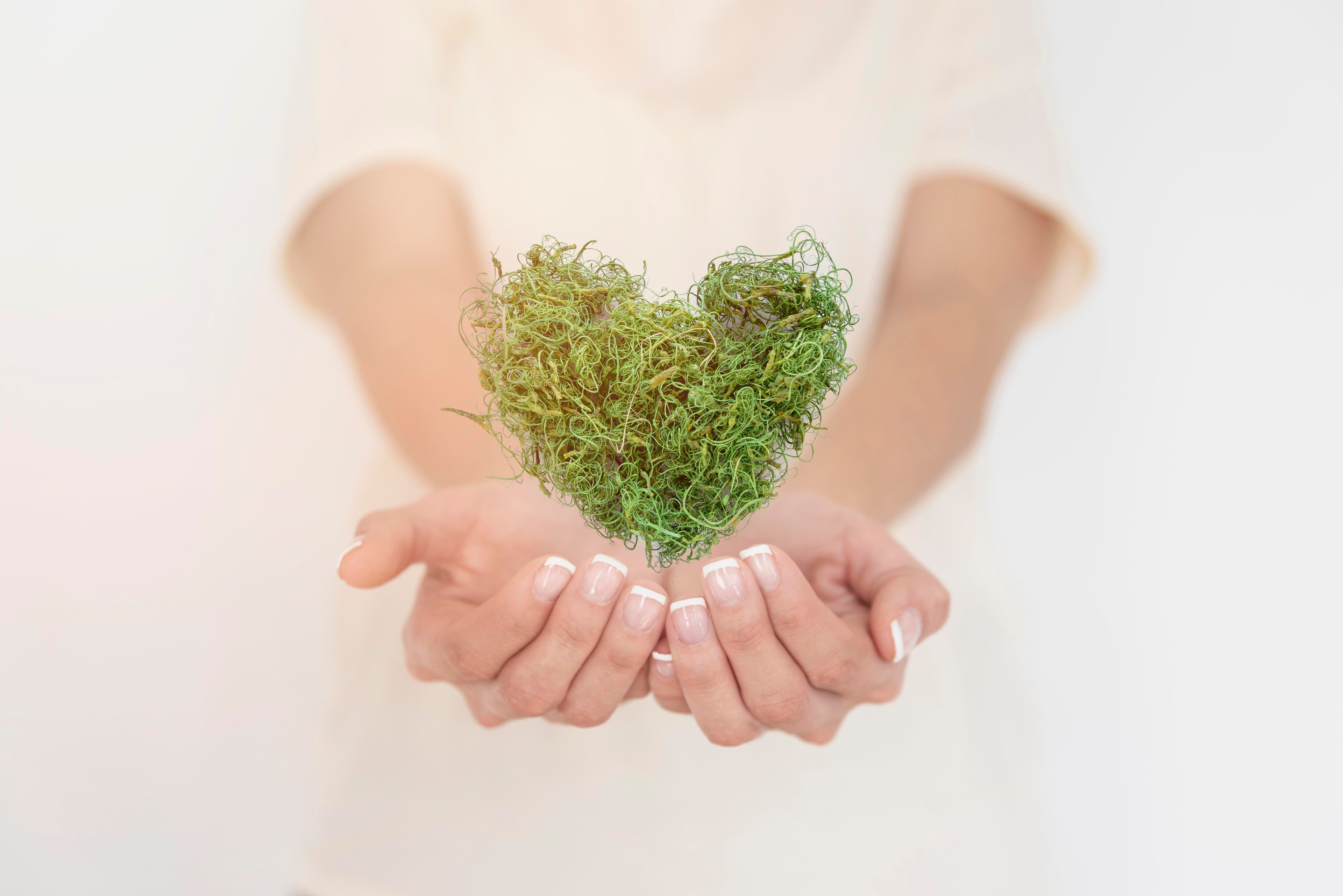 mani che tengono un cuore fatto di prato verde