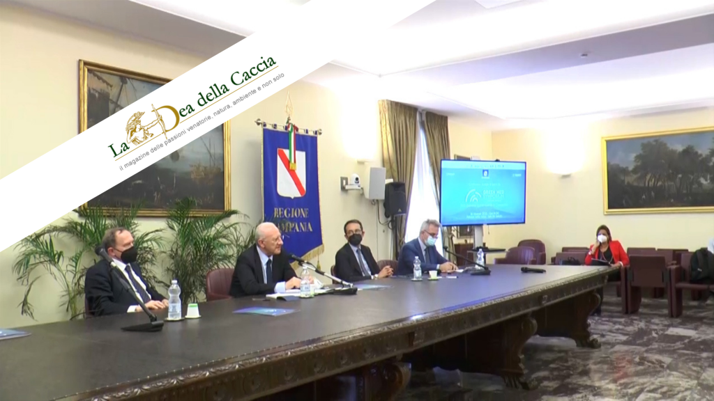 Rassegna Stampa - dea della caccia - Green Med Expo & Symposium - 2025