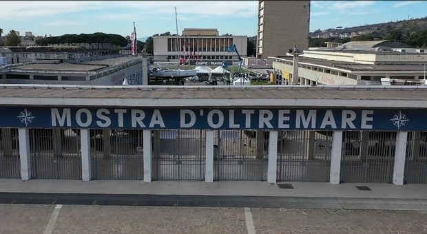 Rassegna Stampa - 8172321 10134115 7910978 02185430 mostra oltremare napoli - Green Med Expo & Symposium - 2025